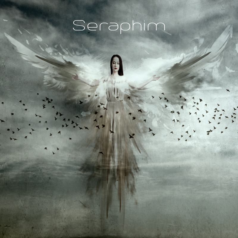 seraphim single